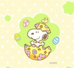 【ダイキチ様専用】のサムネイル
