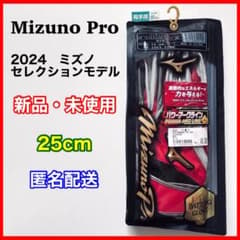 ミズノセレクションモデル】 ミズノプロ バッティンググローブ 25cm 