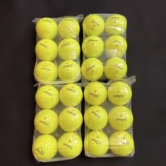 Titleist Pro V1x ロストボール 24球 AB級 イエロー - メルカリ