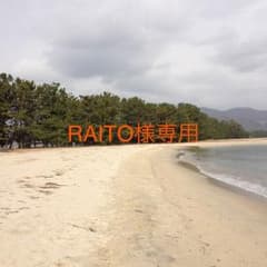 RAITO様専用のサムネイル