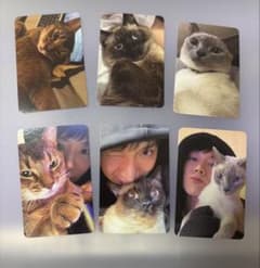 WayV 威神V テン　猫トレカコンプリートセット m60755201291_1.jpg?1750421410