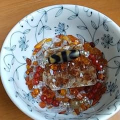 CAT様専用です。他の方の購入はご遠慮ください。のサムネイル