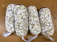 種にんにく3ネット(目安1ネット=1kg※)のサムネイル