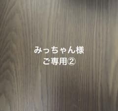 絵画 原画 風景画 肉筆 キャンバス F3 『朝日を浴びるノースポール