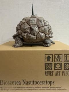 OZWRT Dioscorea Nasutoceratops ozwrt 亀甲竜 - メルカリ