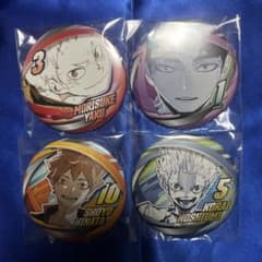 ハイキュー コレクション 缶バッジ ファンパーク セット Fun - メルカリ