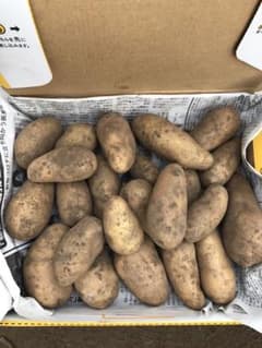 小さな畑からの贈り物・自然栽培じゃが芋コンパクトサイズのサムネイル