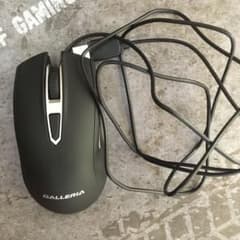ガレリア マウスのサムネイル