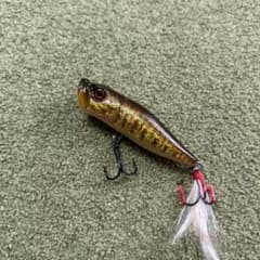 メガバス POP-X スモールマウスバス '99年 - メルカリ