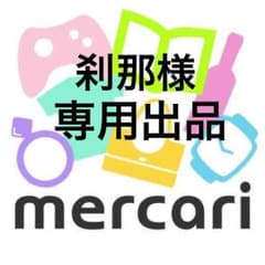 刹那様 専用出品のサムネイル