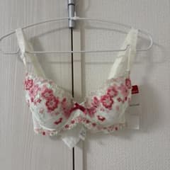 Triumph me closetブラジャー E70のサムネイル
