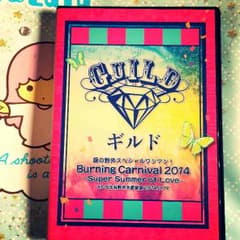 ギルド 野音 DVDのサムネイル