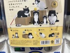 白黒さんいらっしゃい　バッキーのサムネイル