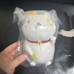 이치 반 쿠지 나츠메 친구 장 냥코 선생님과 별 경치 D상