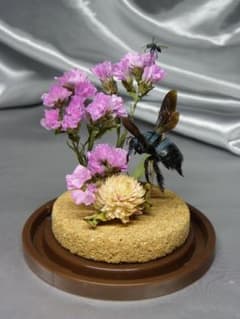 宝石の青い蜂　ビネット標本のサムネイル