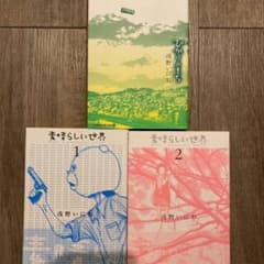 toshi様 素晴らしい世界 1・2 ひかりのまち セットのサムネイル