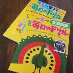 shirayukihime様　　限定　　　小学5年生のサムネイル