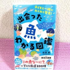 出会った魚がわかる図鑑 厳選200種 永岡書店のサムネイル