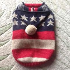 わんちゃん 犬 洋服のサムネイル