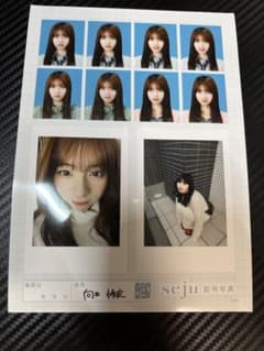 seju 証明写真 向井怜衣のサムネイル
