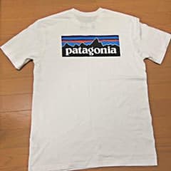 パタゴニア Tシャツのサムネイル