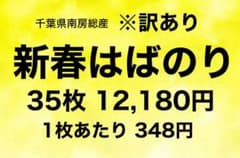 訳あり 出来たばかりの新春はばのり 35枚 12,180円 1枚あたり348円