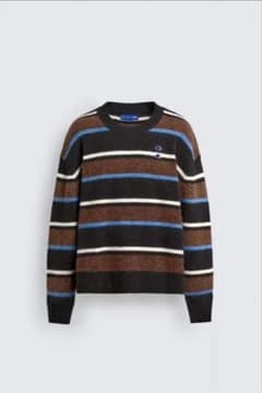 ザラ x チャンピオン コラボ ストライプニットセーター　Ｌ ZARA×championストライプニットセーター Lサイズ - メルカリ