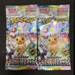 E*☆様 未開封 テラスタルフェスex 2パック 16.51g 16.36g - メルカリ