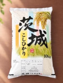 茨城産 こしひかり 10kg - メルカリ