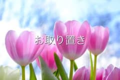 専用  9月1日  LOFT アイラッシュ  つけまつげのサムネイル