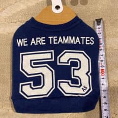 アズノウアズ Ｔシャツのサムネイル