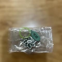 鬼滅の刃 日輪刀めじるし 風柱 不死川実弥 鍔のサムネイル