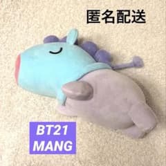 미니 쿠션 BT21 LINE FRIENDS MANG 봉제인형