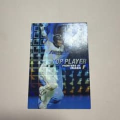 カルビー プロ野球チップス 稲葉篤紀 TOP PLAYERのサムネイル