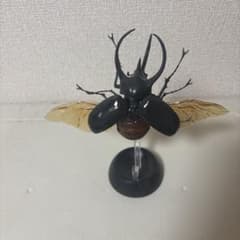 カブトムシフィギュア 黒・金のサムネイル