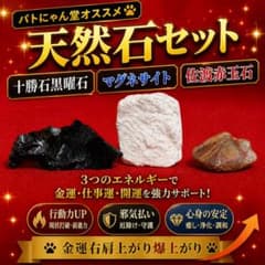 金運右肩上爆上】幸せ天然石セット【佐渡赤玉石｜十勝石黒曜石｜マグネ