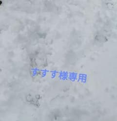 すすすさま専用のサムネイル