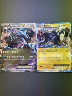 블랙 큐렘 EX008/018, 제크롬 EX009/018