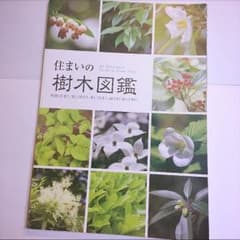 住まいの樹木図鑑のサムネイル