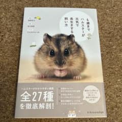 4歳までハムスターが元気で長生きする飼い方のサムネイル