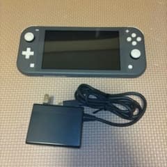 Nintendo Switch Lite グレー 画面要確認 - メルカリ