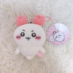 치이카와 게인 치이카와 마스코트