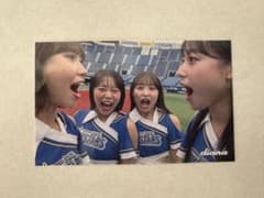ブラインドステッカー／diana2025のサムネイル