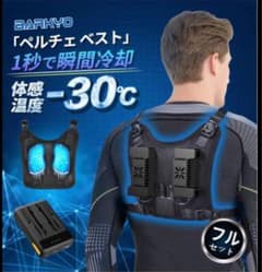 T4 ペルチェベスト　クール　夏バテ　外仕事　涼しいのサムネイル