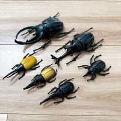 フィギュア まとめ売り 昆虫 カブトムシ クワガタ 昆虫フィギュア カブトムシ クワガタ 6体セット - メルカリ