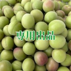 【【プロフ必読お願い】和歌山産　小梅　青梅　8kg　傷なし　送料込み プロフ必読お願い様 専用】和歌山産 小梅 青梅 8kg 傷なし 送料込み