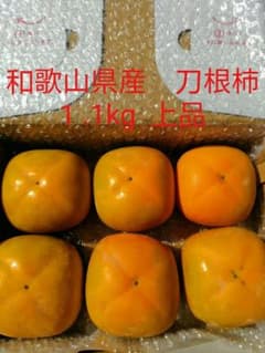 和歌山県　刀根柿上品　産地直送　1.1kgのサムネイル