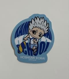 하이큐!! 호시카이 미츠오