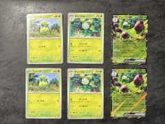 ポケモンカード オリーヴァex 進化ラインのサムネイル