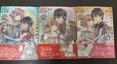 幸運王子と不運令嬢が結婚したら溺愛が始まりました　1〜3巻セットのサムネイル